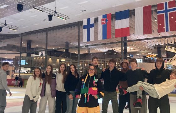 8d fizinio ugdymo pamoka Akropolio ledo arenoje