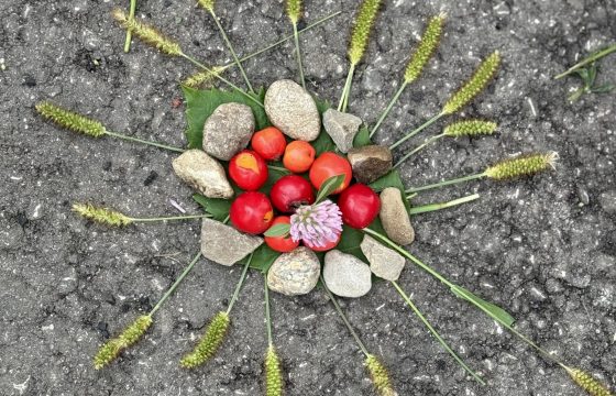 Kuriame mandalą iš gamtinių medžiagų