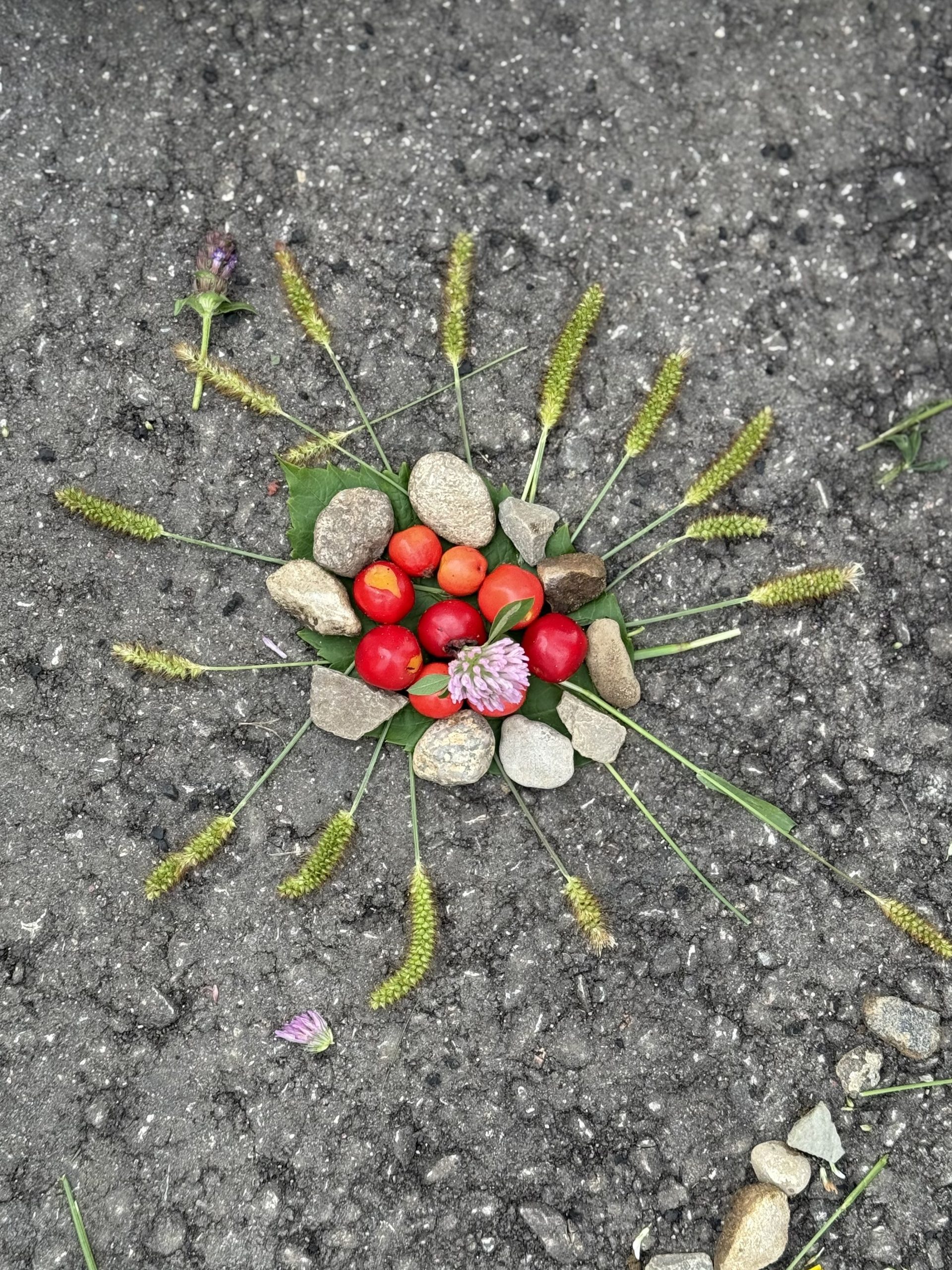 Kuriame mandalą iš gamtinių medžiagų