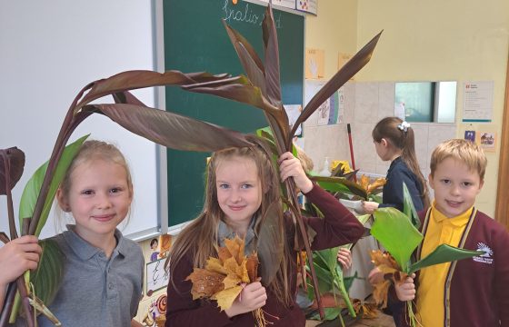 Integruota Gamtos mokslų ir technologijų pamoka