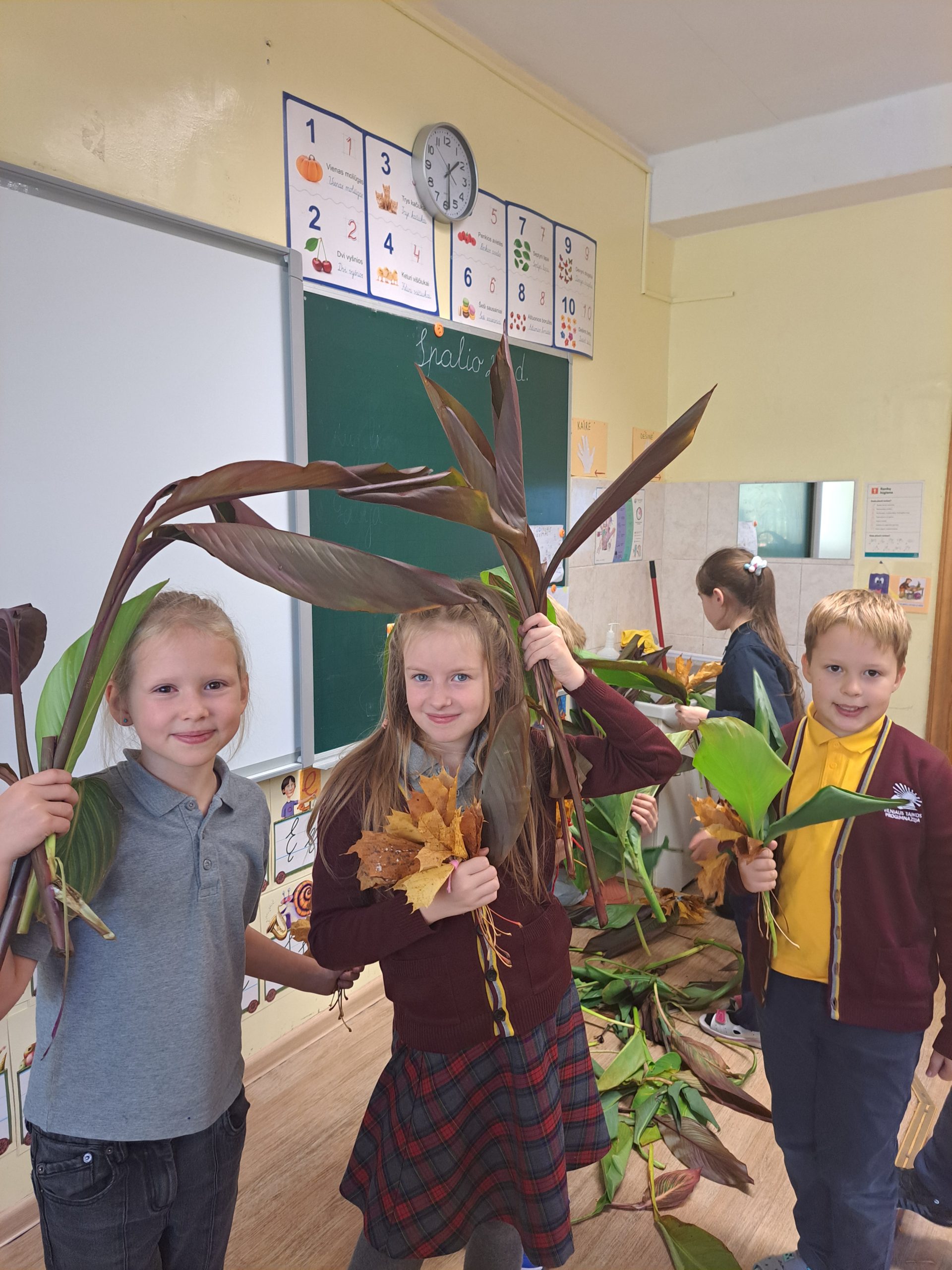 Integruota Gamtos mokslų ir technologijų pamoka