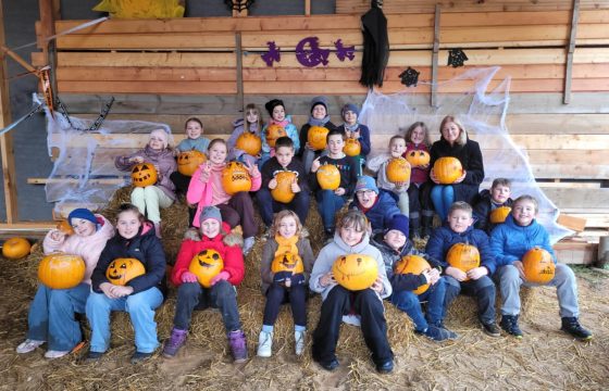 3d ir 4a apsilankymas Šilauogių ir levandų ūkyje