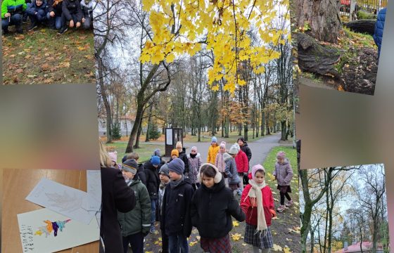 Pažink Lietuvos medžius