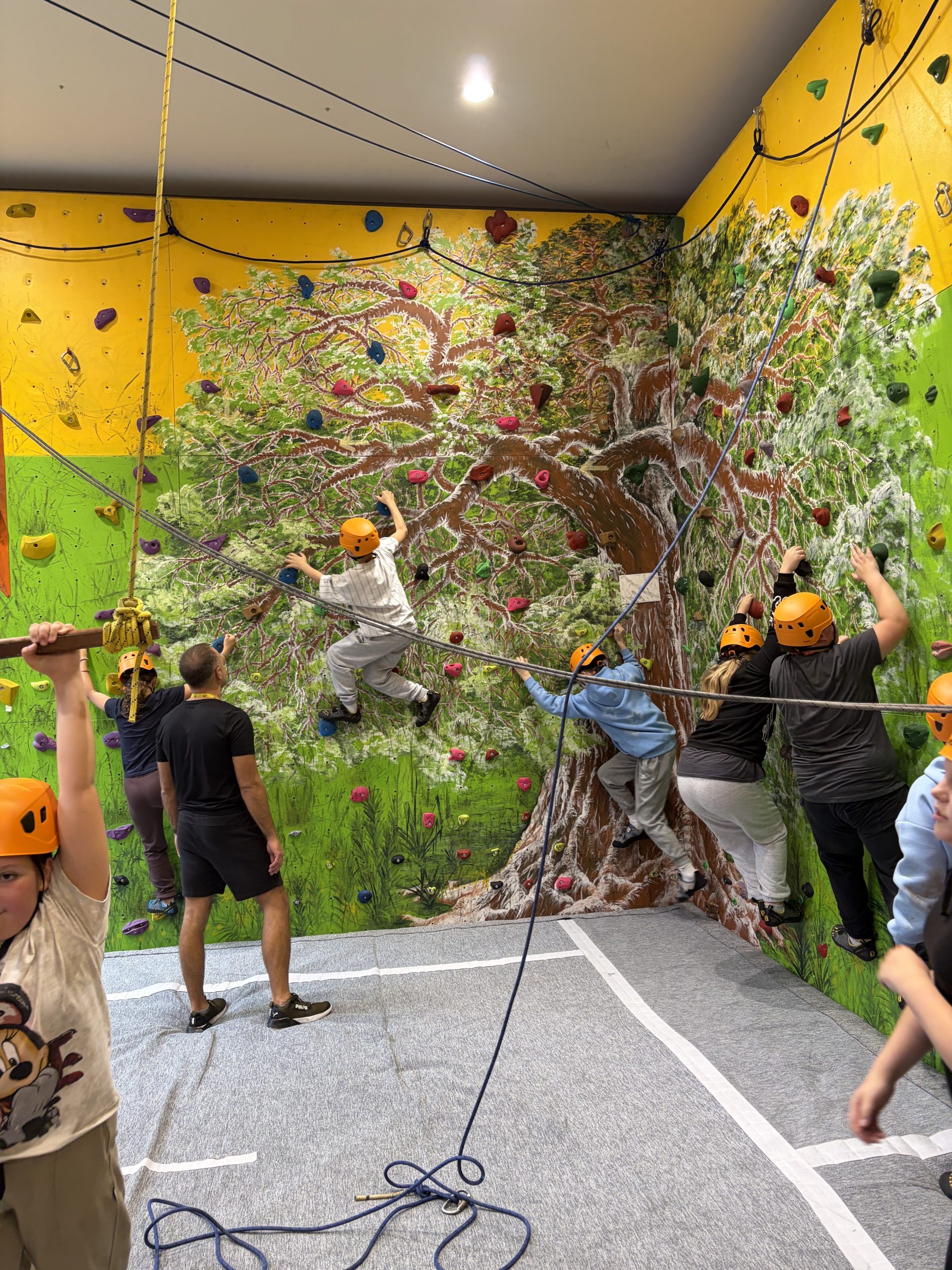 Laipiojimo ir boulderingo pradžiamokslis jaunųjų turistų klube