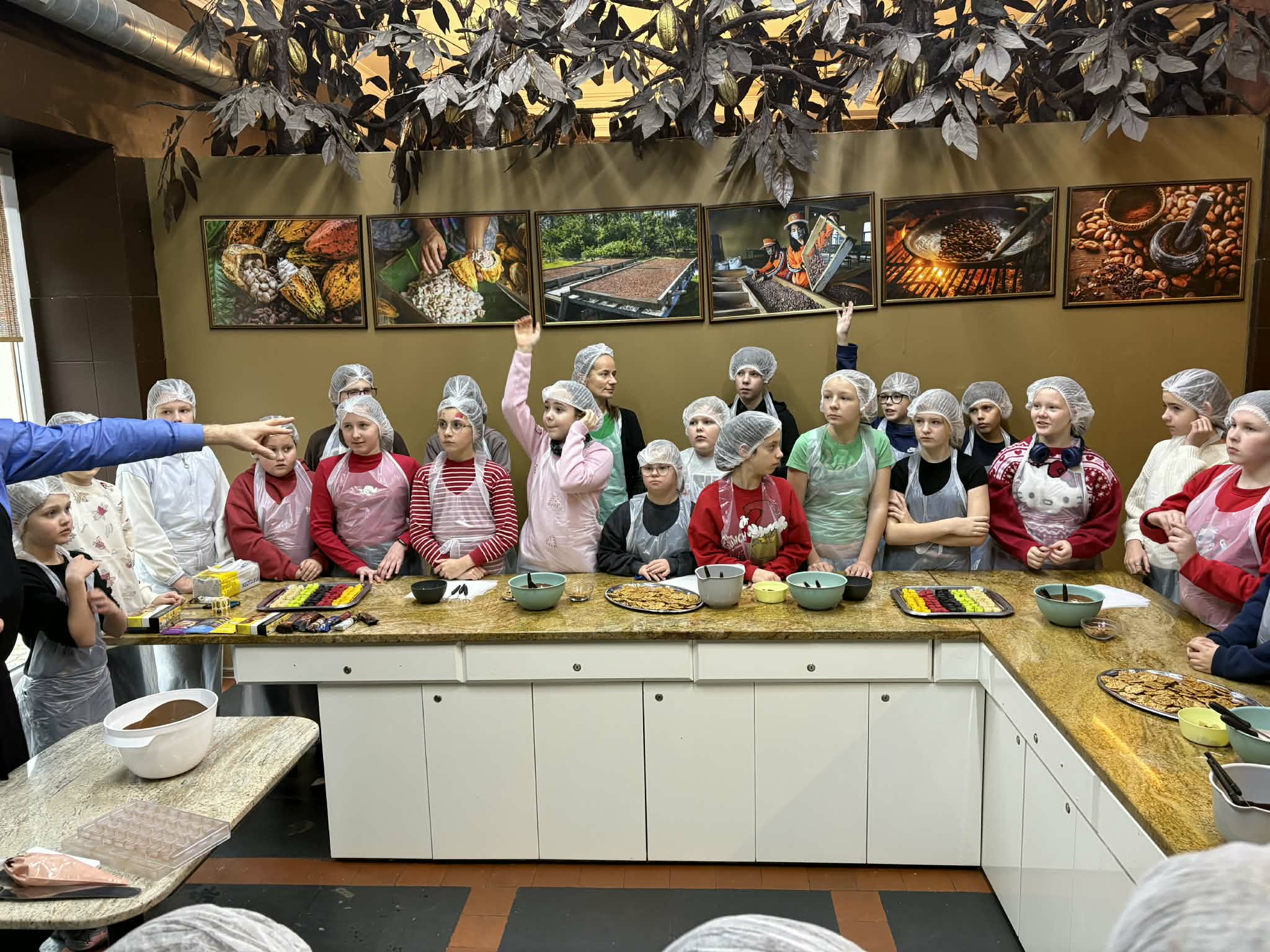 5c ir 5d dalyvavimas AJ šokolado edukacijoje