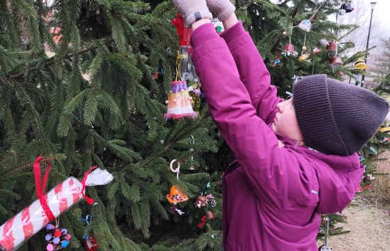 Socialinė-pilietinė veikla