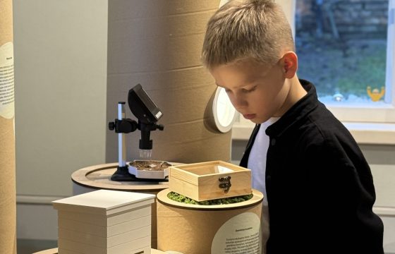 Medinės architektūros centro paroda „Gyvas miestas“