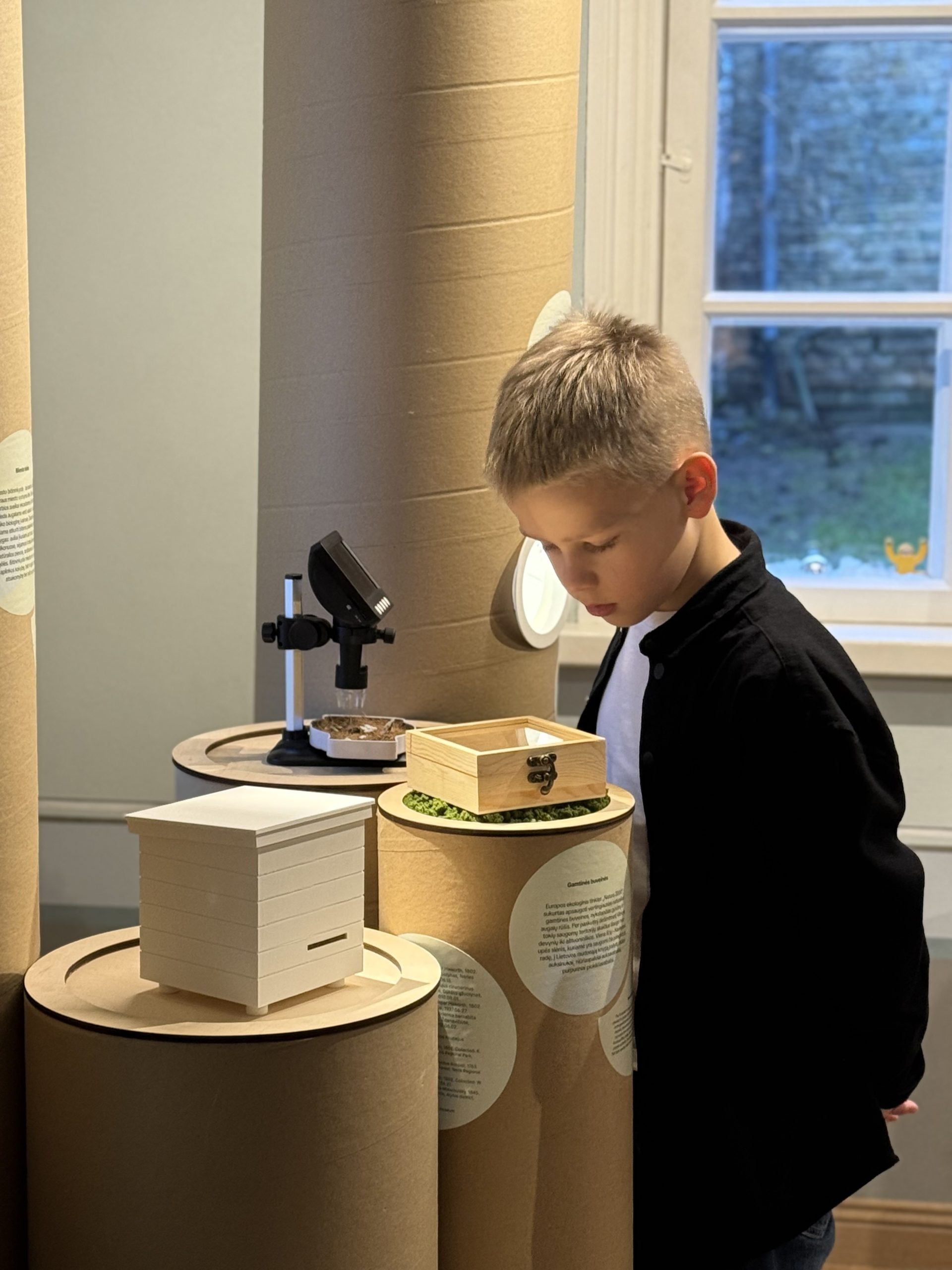 Medinės architektūros centro paroda „Gyvas miestas“