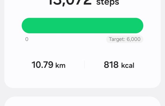 Žingsniai Laisvės kovotojams