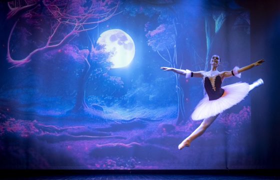 Stitčas – Kalėdų testuotojas