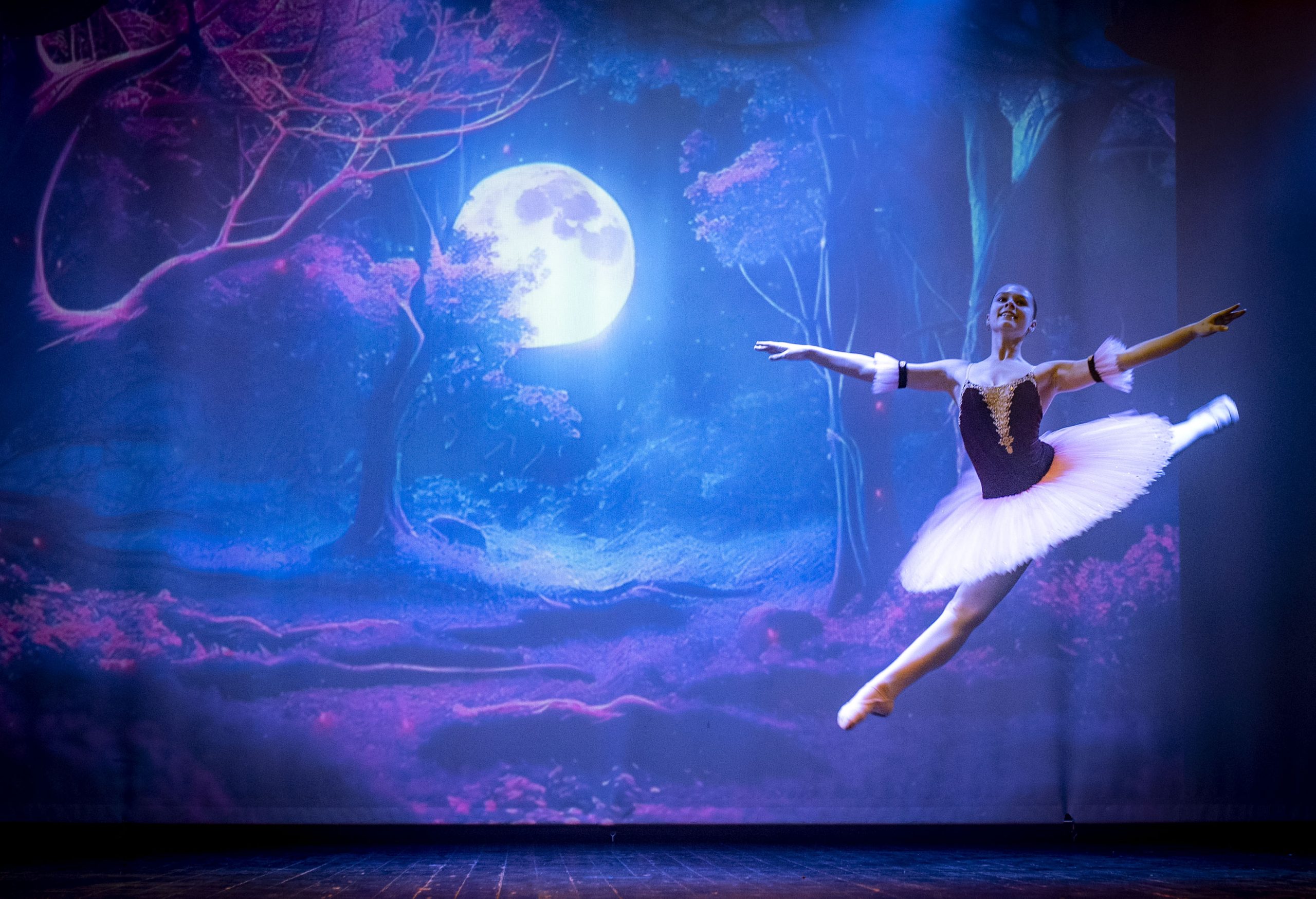 Stitčas – Kalėdų testuotojas