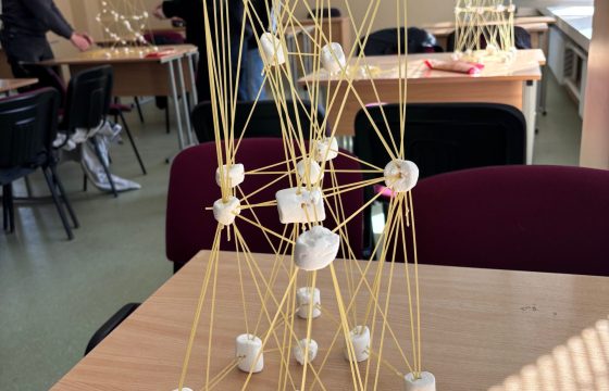 8e edukacija „Bokštų konstravimas“
