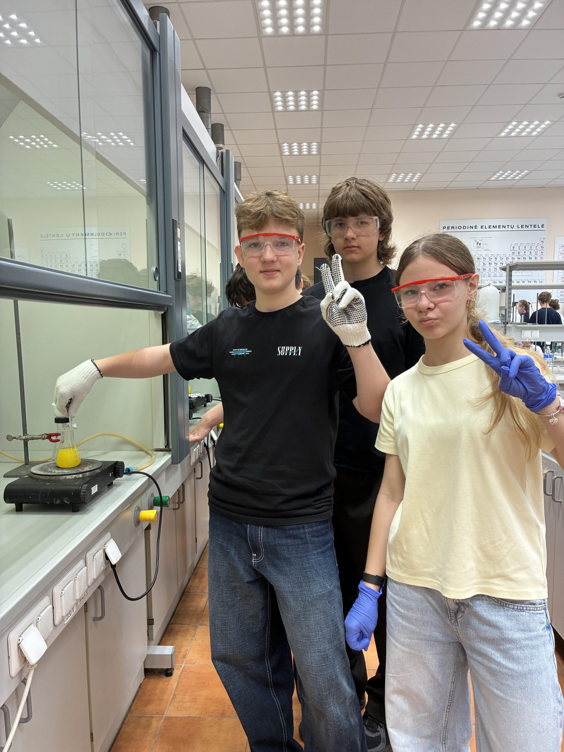 Aštuntokai VU chemijos fakultete