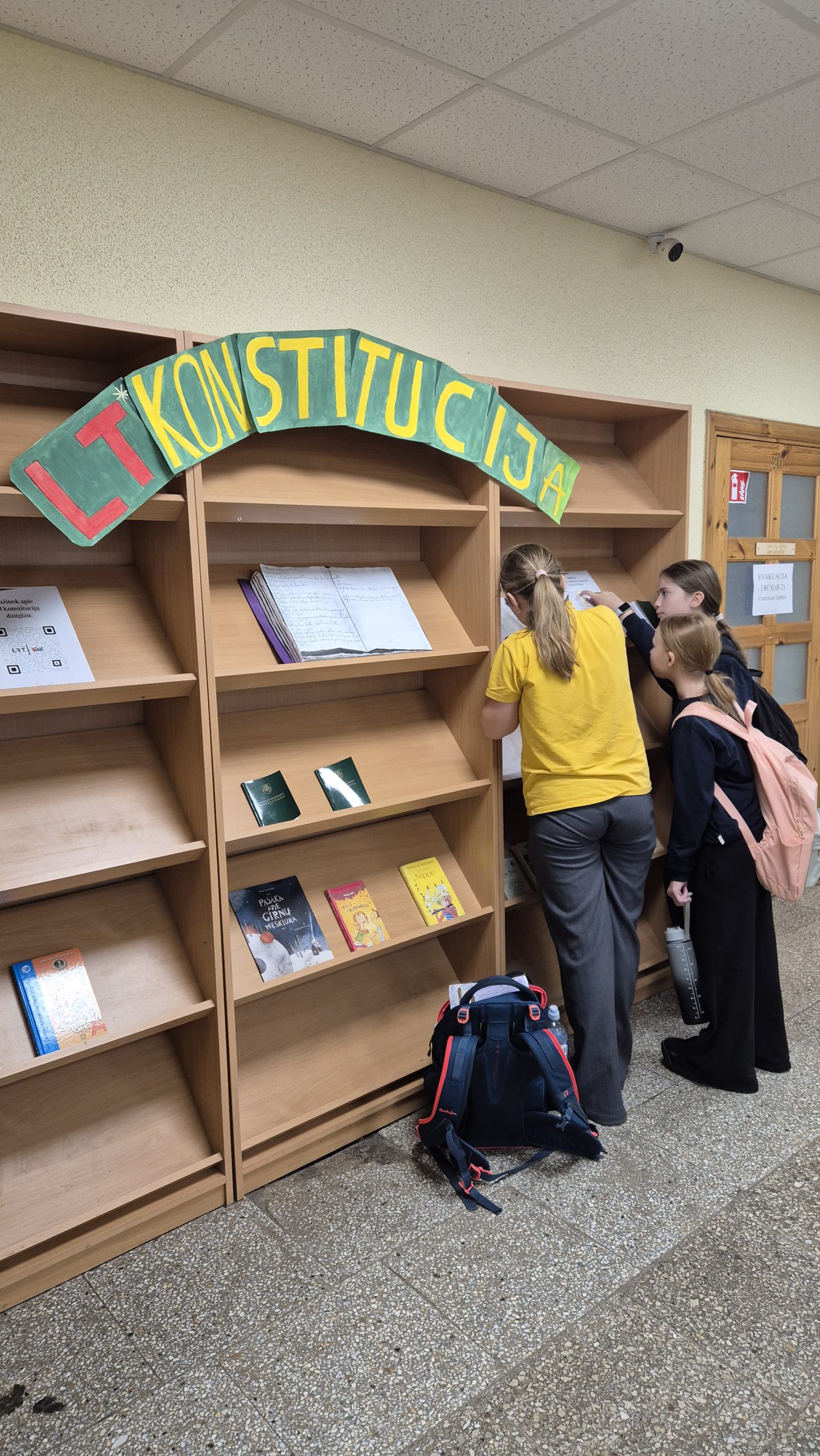 LR Konstitucijos dienos minėjimas